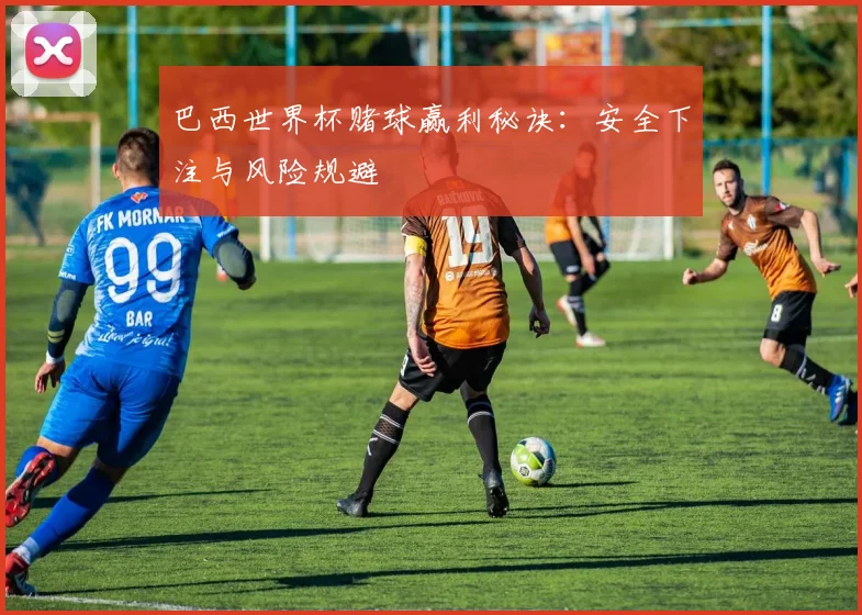 巴西世界杯赌球赢利秘诀:安全下注与风险规避
