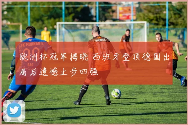 欧洲杯冠军揭晓 西班牙登顶德国出局后遗憾止步四强