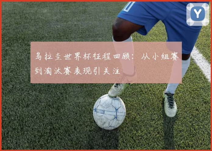 乌拉圭世界杯征程回顾:从小组赛到淘汰赛表现引关注