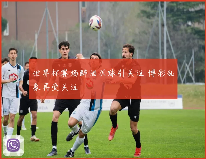 世界杯赛场醉酒买球引关注 博彩乱象再受关注