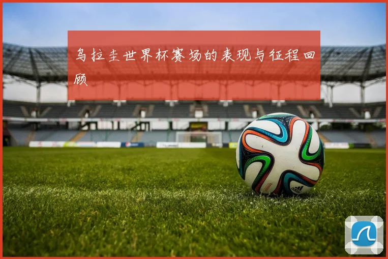 乌拉圭世界杯赛场的表现与征程回顾