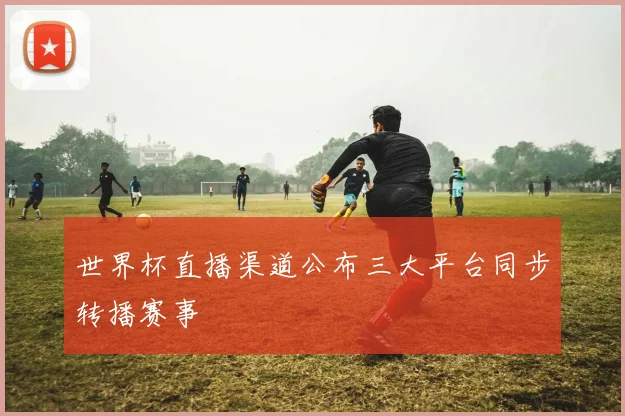 世界杯直播渠道公布三大平台同步转播赛事
