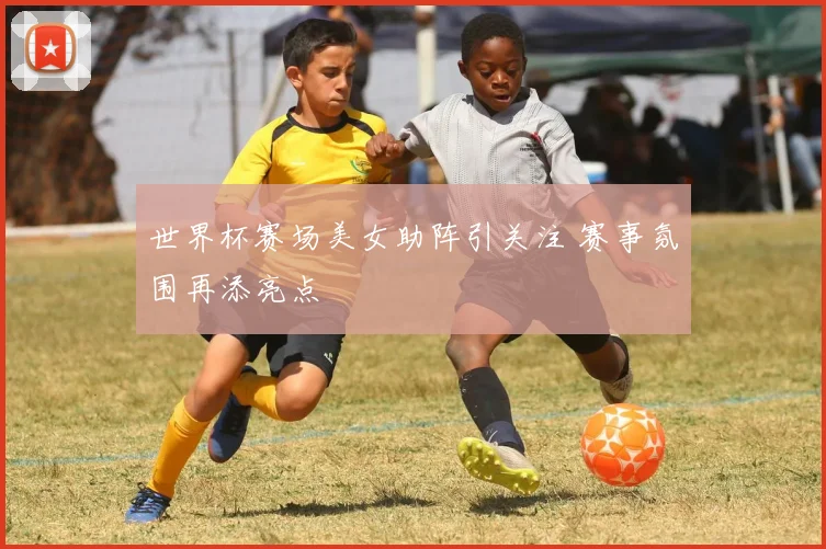 世界杯赛场美女助阵引关注 赛事氛围再添亮点